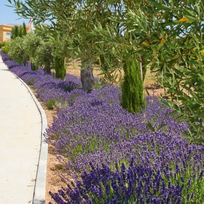 Estancia Detox de Una Noche en Alentejo Marmoris