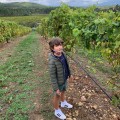 Cadeau Plan de famille en Bodegas Terras Gauda à O Rosal