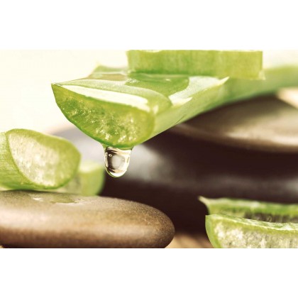 Voucher presente Aloe Experience in Be Aloe Wellness