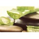 Voucher presente Aloe Experience in Be Aloe Wellness