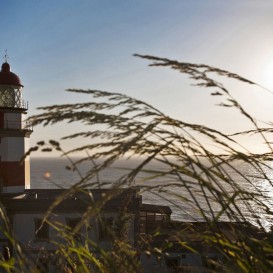 Don de Camino de Santiago Portugues le long de la côte