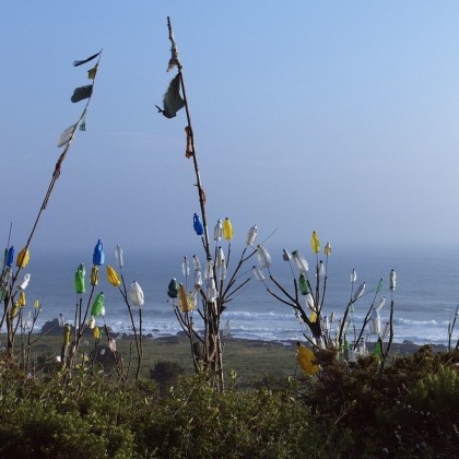 Gift of Camino de Santiago Portugues along the Coast