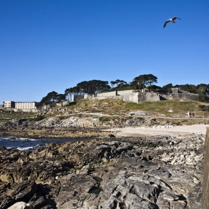 Don de Camino de Santiago Portugues le long de la côte