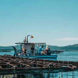 Vale Ruta do Mejillon e Artes de Pesca em Vigo