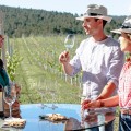 Expérience en bonne compagnie dans Bodegas Terras Gauda