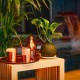 Chèque-cadeau Spa et massage au Cobre 29 Massage & Spa de l'hôtel Meliá Valencia