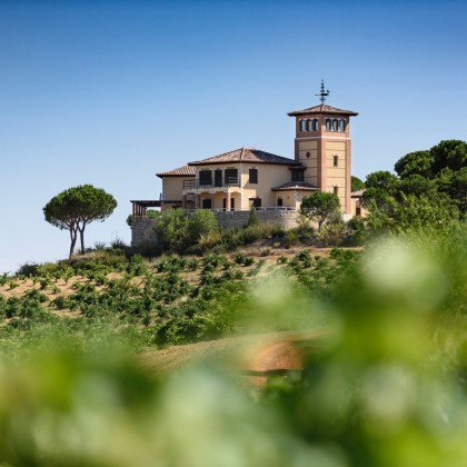 Escapada Enologica Piedra Bodega y Viñedos en Toro