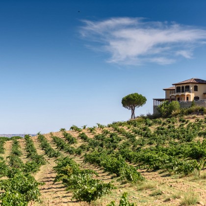 Escapada Enologica Piedra Bodega y Viñedos en Toro