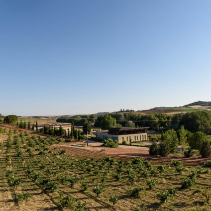 Escapade Oenologique Piedra Bodega et vignobles à Toro