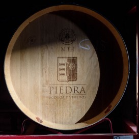 Winery and vineyards in Toro