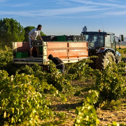 Escapada Enologica Piedra Bodega y Viñedos en Toro