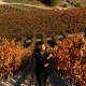 Bon Cadeau Le tourisme viticole découvre Quinta Sardonia