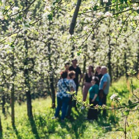 Bon Casserie et boutique de cidre avec le transport avec Sagardoa Route