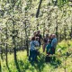 Bono Albaola y Sidrería con Transporte con Sagardoa Route