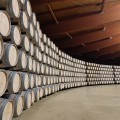 Experiencia Enoturismo Origen Viña Arnaiz en Ribera del Duero