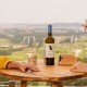 Experience Wine tourism with traditional visit to Vionta wineries