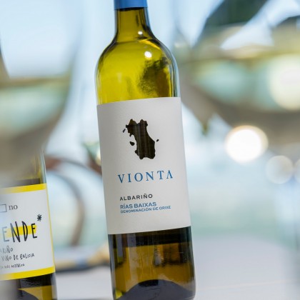 Experience Wine tourism with traditional visit to Vionta wineries
