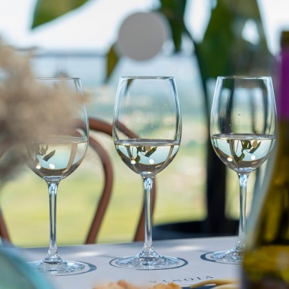 Experience Wine tourism with traditional visit to Vionta wineries