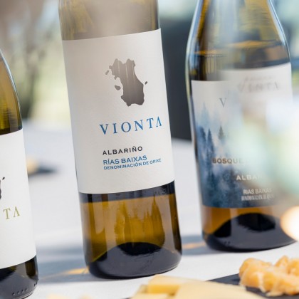 Experience Wine tourism with traditional visit to Vionta wineries