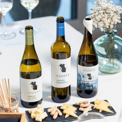 Experience Wine tourism with traditional visit to Vionta wineries