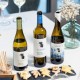 Experience Wine tourism with traditional visit to Vionta wineries