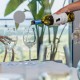 Experience Wine tourism with traditional visit to Vionta wineries