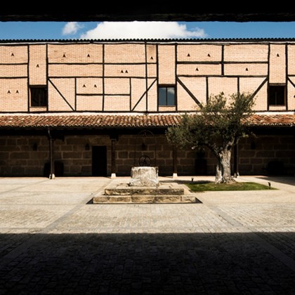 Bon Vigne Arnaiz à Ribera du Duero