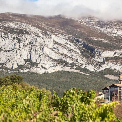 Escapade enoturistique dans hôtel de charme avec visite de cave à vin et dégustation