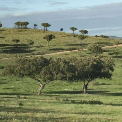Escapada romántica en suite con bañera termal privada en la dehesa Extremeña
