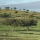 Escapada romántica en suite con bañera termal privada en la dehesa Extremeña