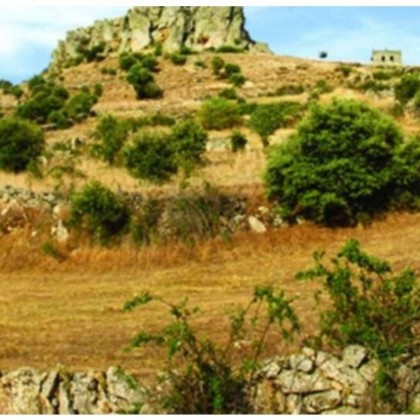 Gastronomy and culture: A getaway with a typical Zamoran dinner and cava next to the Castle of Peñausende