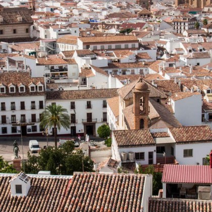 Romantic Getaway with dinner and private jacuzzi in Suite near Antequera