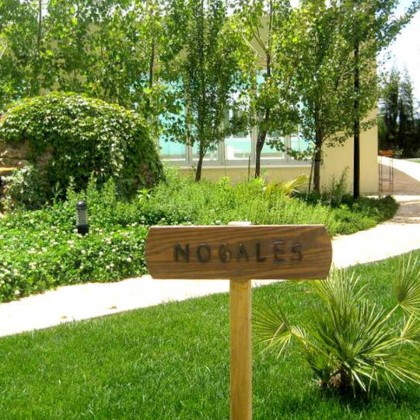 Getaway with a typical regional dinner in the Sierra de Aracena, Huelva