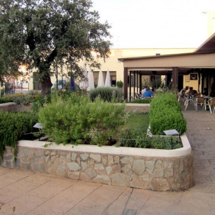 Getaway with a typical regional dinner in the Sierra de Aracena, Huelva