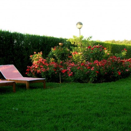 Getaway with a typical regional dinner in the Sierra de Aracena, Huelva