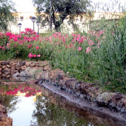 Getaway with a typical regional dinner in the Sierra de Aracena, Huelva