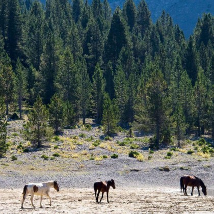Getaway in flat with Jacuzzi in Ordesa National Park