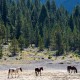 Getaway in flat with Jacuzzi in Ordesa National Park