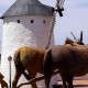 Don Quixote Route: dinner, wine cellar, bottle of cava and orientation Lagunas de Ruidera (from 2 nights)