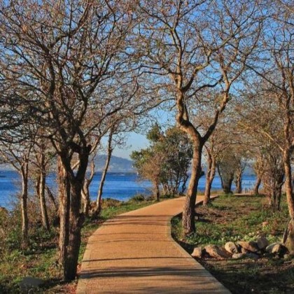 Breakfast getaway in a natural setting in the Rías Baixas