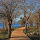 Breakfast getaway in a natural setting in the Rías Baixas