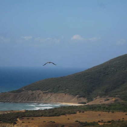 Passeio de canoa ou caiaque na praia de Getares, Cádis