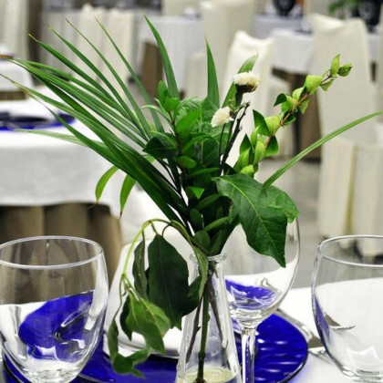 Offer in Cordoba with breakfast, swimming pool and parking included.