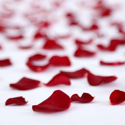 Romantic room with bath salts, soap bomb, petals, chocolates, champagne and detail