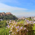 Granada getaway with family or friends in a flat