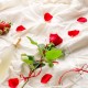 Dinner, champagne, chocolates and rose petals in a charming hotel in the south of Madrid.