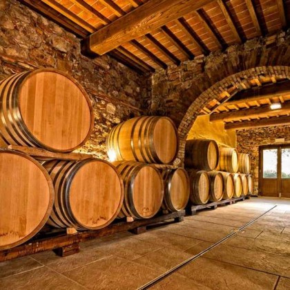 Rustic room getaway near Tablas de Daimiel