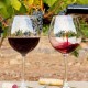 Rustic room getaway near Tablas de Daimiel