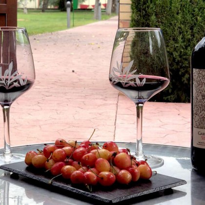 Escapada con cena y visita a bodega en Valls
