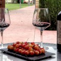 Short break with dinner and visit to a winery in Valls
